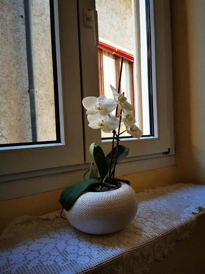 Villa Casa Ida à Cannobio Extérieur photo